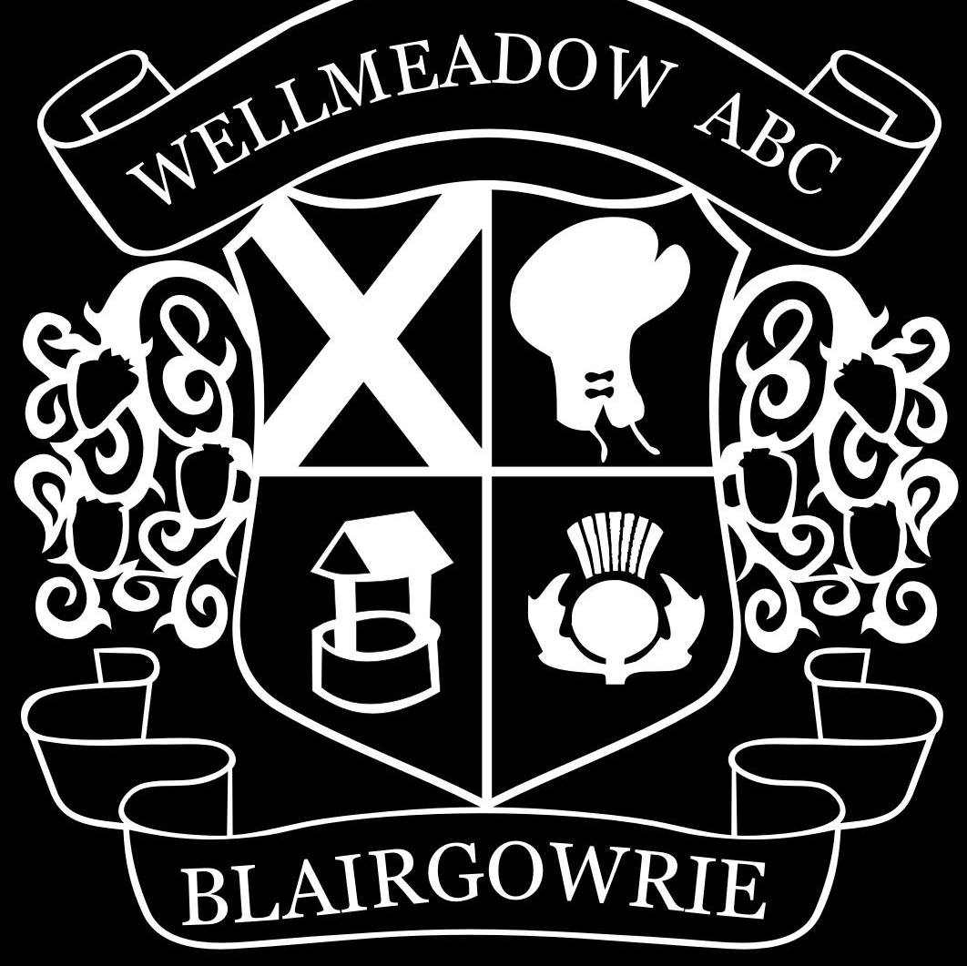 Wellmeadow Amateur Boxing Club (WABC)